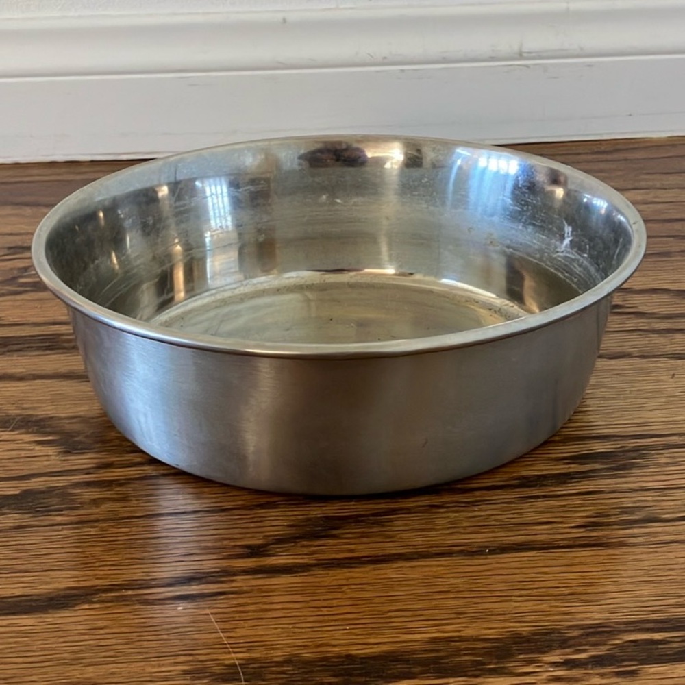 Dog Bowl